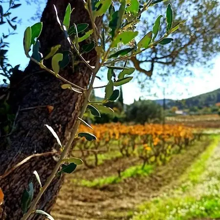 La Belle Provence